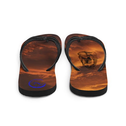 12th August National Elephant Day - Flip-Flops Design