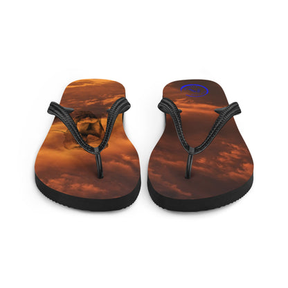 12th August National Elephant Day - Flip-Flops Design