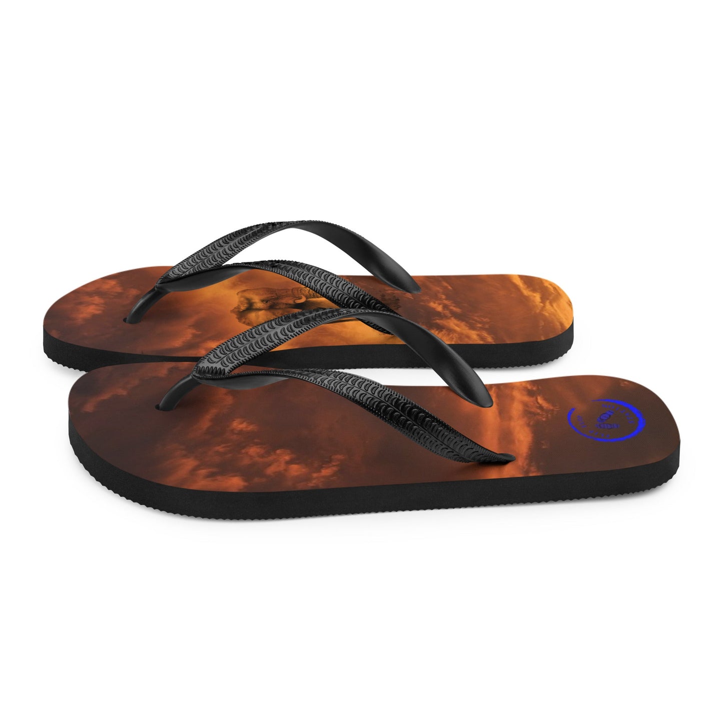 12th August National Elephant Day - Flip-Flops Design