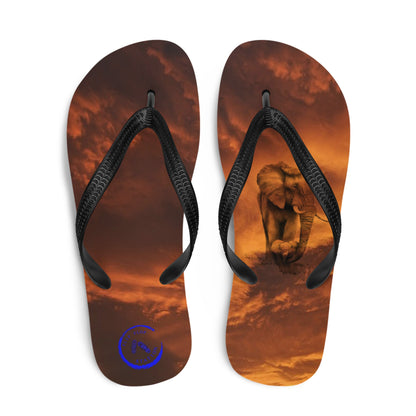 12th August National Elephant Day - Flip-Flops Design