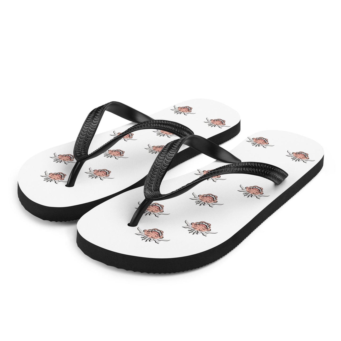 Einstein flip flops