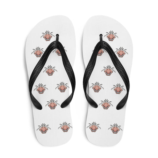 Einstein flip flops